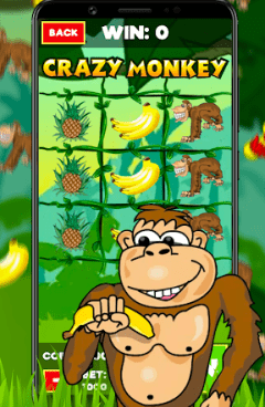 Crazy Monkey